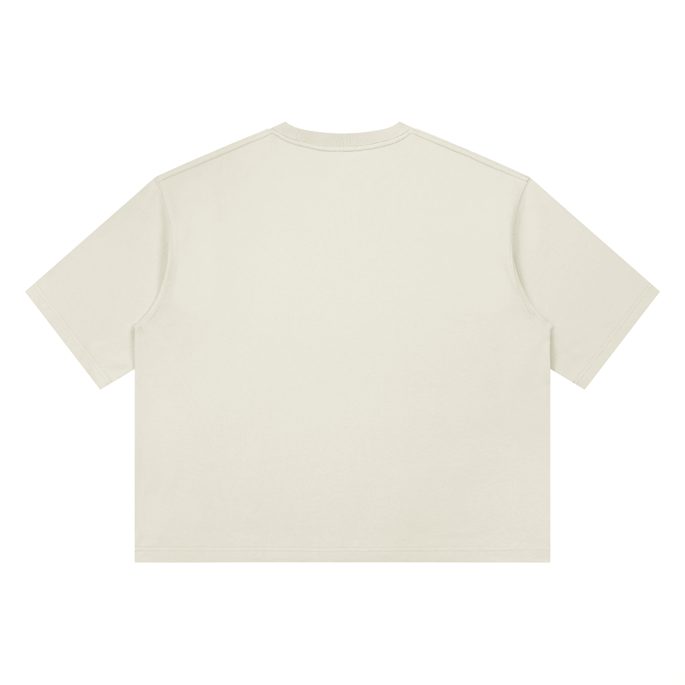 Graphic Heavyweight Boxy T-Shirt